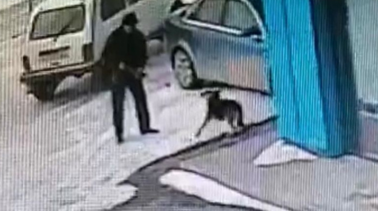 Сельский аким в ЗКО решил стрелять в собак возле заправки, но не попал