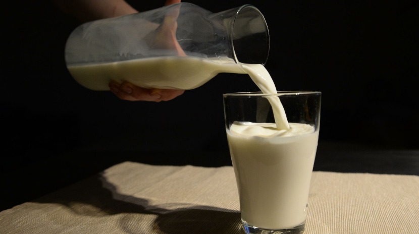 14 млн тенге за литр молока: в Казахстане выявили скандальный тендер