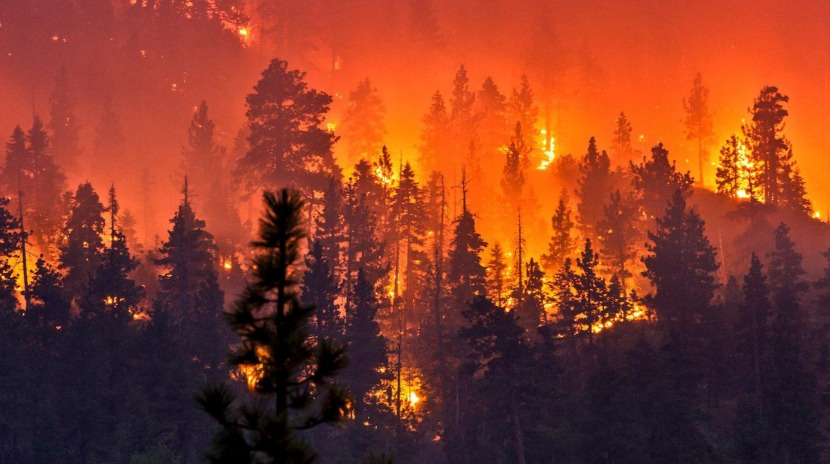 Дым от пожаров в Сибири достиг берегов США