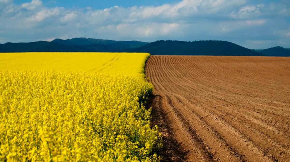 В Казахстане предложили закрепить право каждого на доход от нацресурсов в Конституции