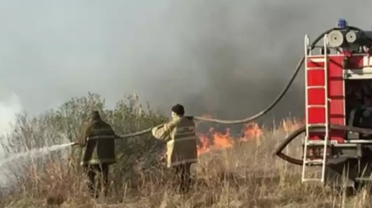 Почти сутки пожарные тушили лес в ВКО