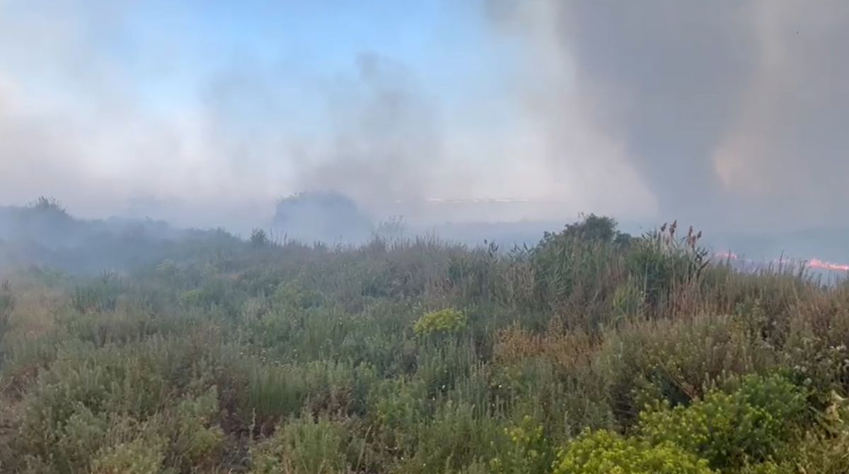 Наконец-то? МЧС заявило, что пожар на Талдыколе ликвидирован