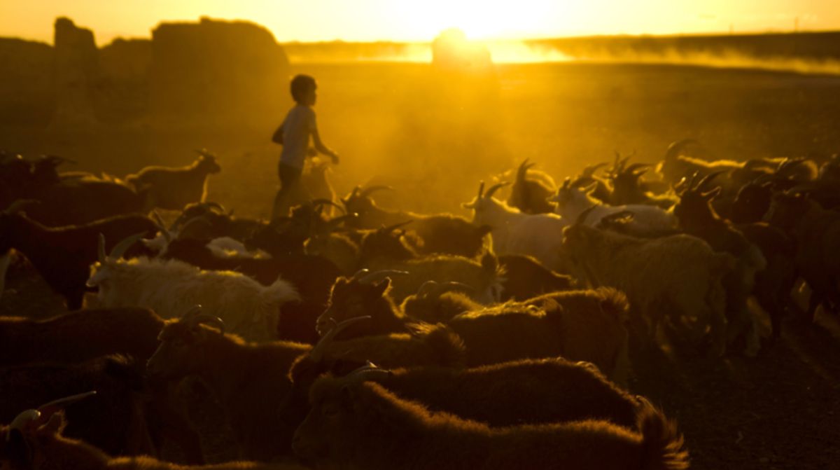 Центральная Азия превращается в пустыню из-за климата