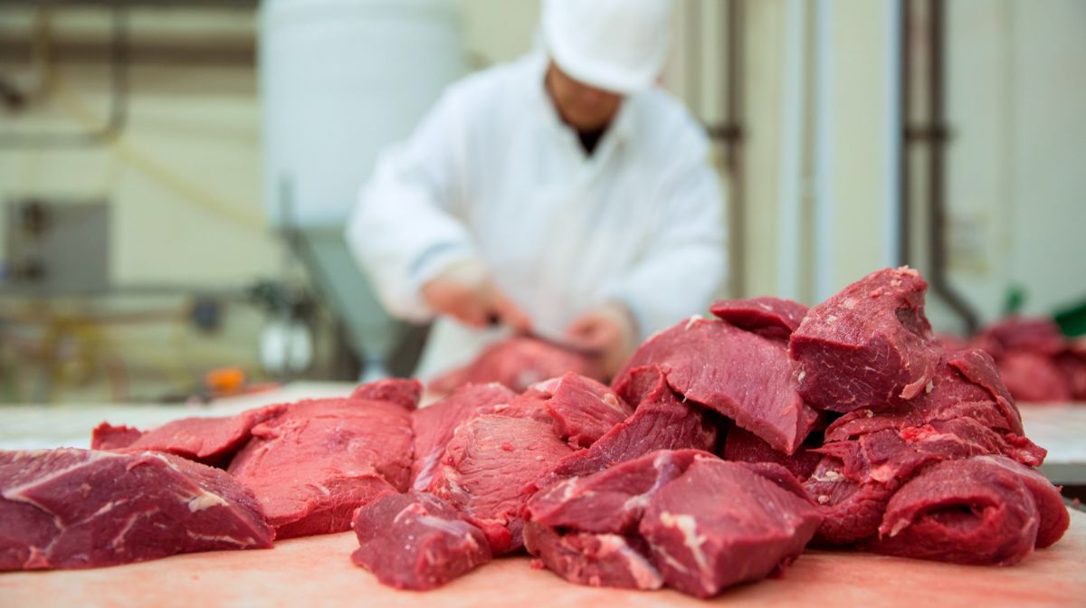 Казахстан мог бы стать мировым лидером в производстве говядины, если бы не государство