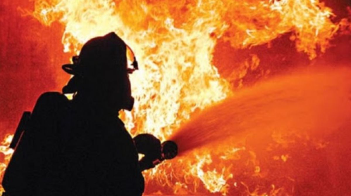 На Алаколе сгорели четыре базы отдыха