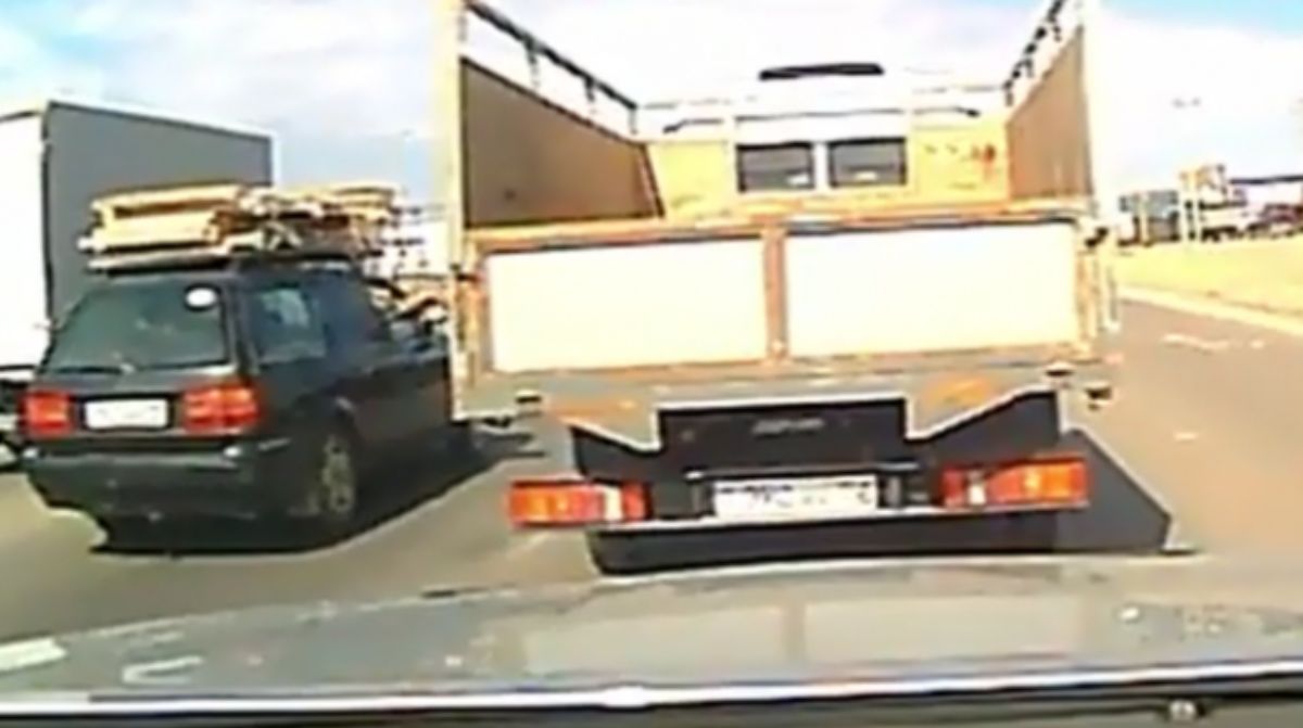 В Мангистау кота выбросили из машины прямо под колеса (видео)