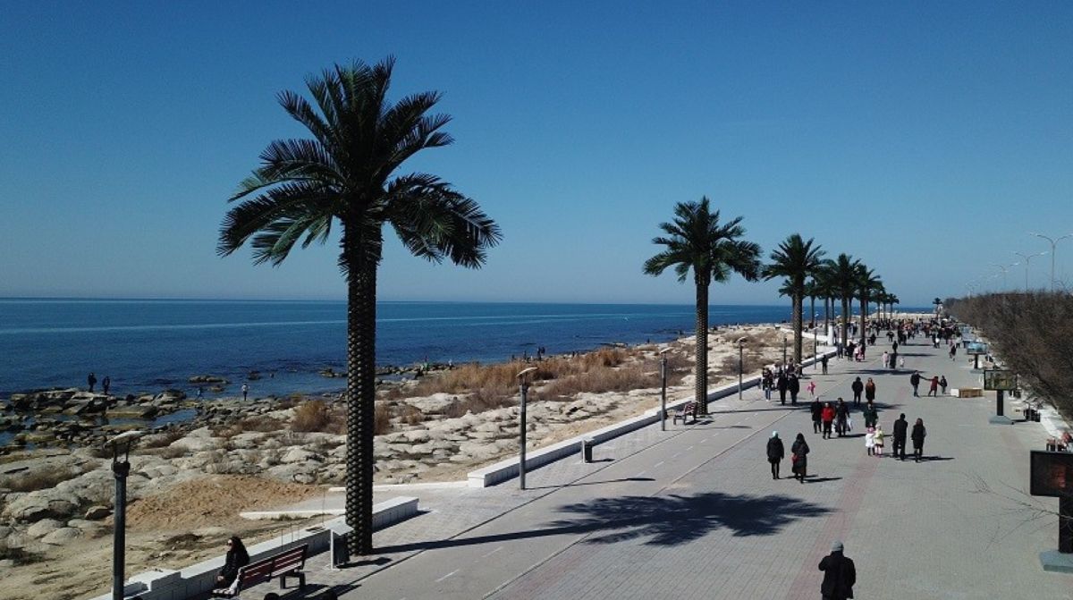 Семь миллиардов тенге потратят на озеленение Актау