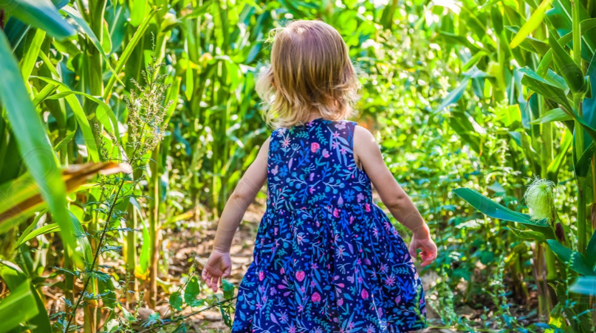 Третьи сутки ищут пятилетнюю Мадину: ее видели на кукурузном поле