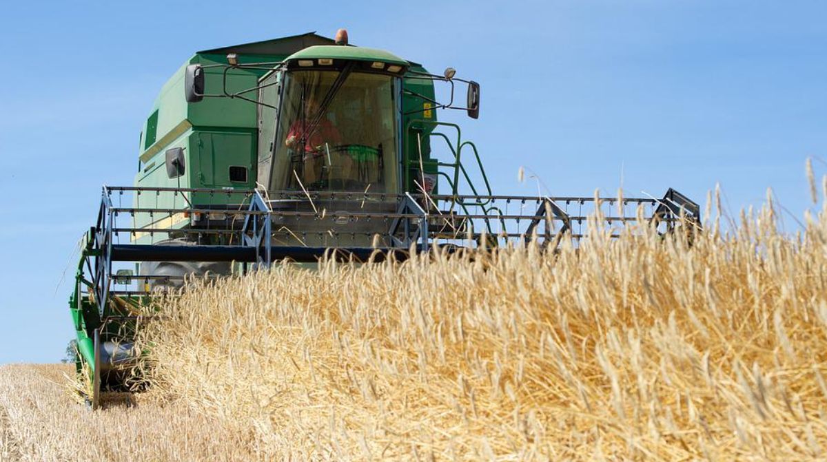 В Казахстане достаточно зерна на 2022 год