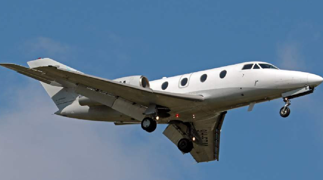           Falcon 10