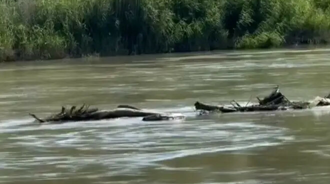 Временный мост затонул в Павлодарской области