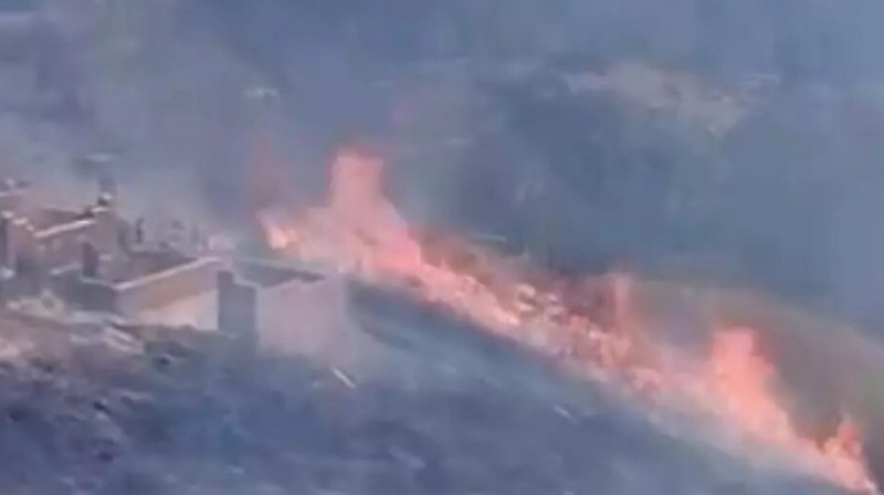 Огонь может дойти до жилых домов: в горах Алматы горит сухая трава