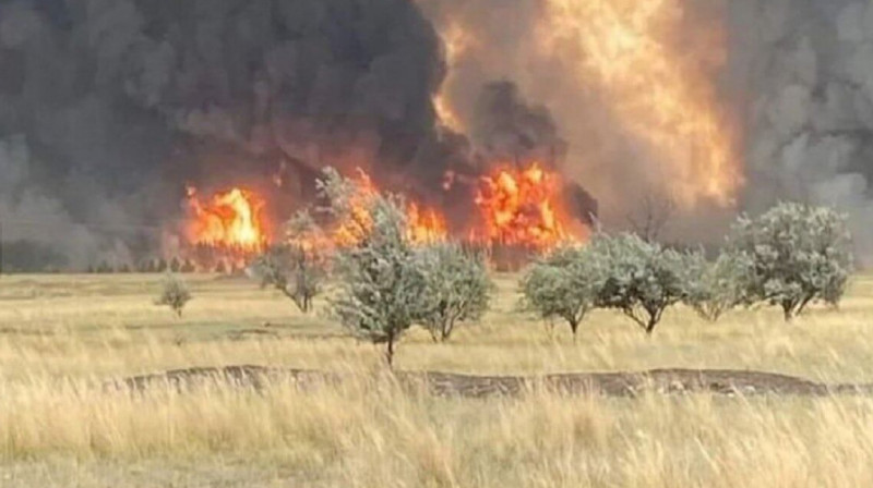 Пожар в Костанайской области удалось локализовать