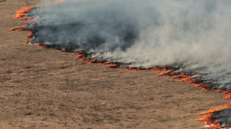 Сразу в трех районах Восточно-Казахстанской области горит степь