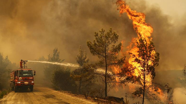 Еще тысячи гектаров земли сгорели в двух регионах Казахстана