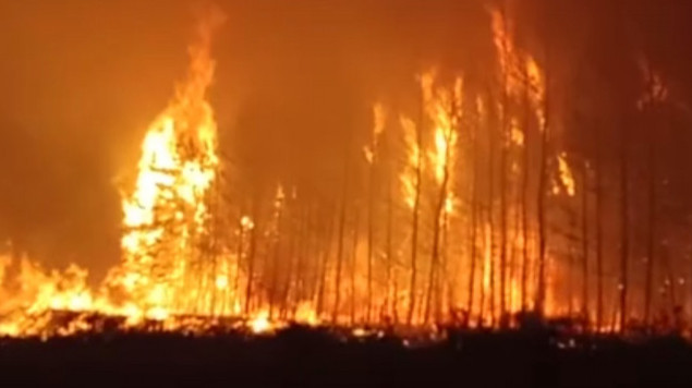 Пожар в Костанайской области ликвидирован