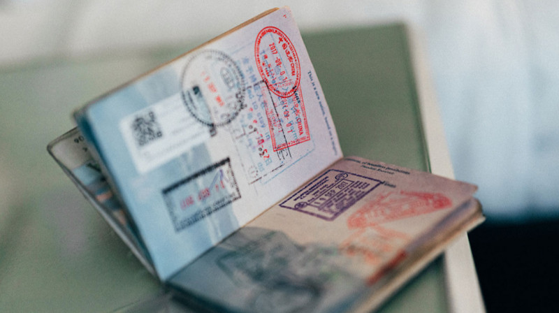 Этнические казахи, живущие за рубежом, получат особую "визу" в Казахстан