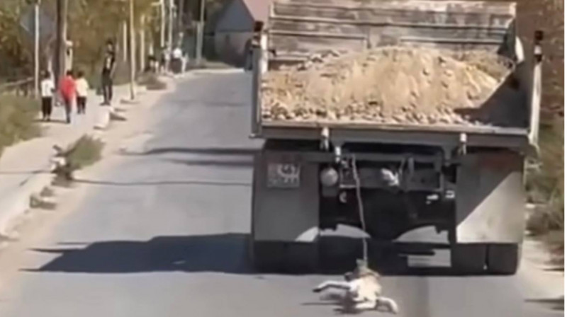 Водитель грузовика привязал собаку к машине и протащил ее по дороге