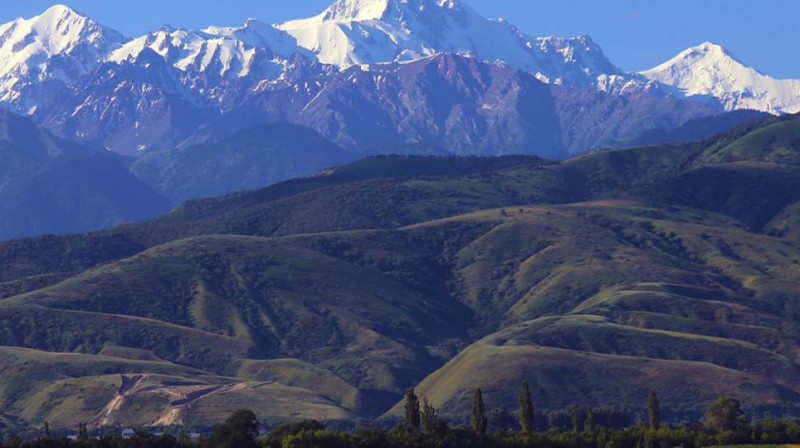 Аким Досаев продолжит судиться по незаконной застройке Каменского плато