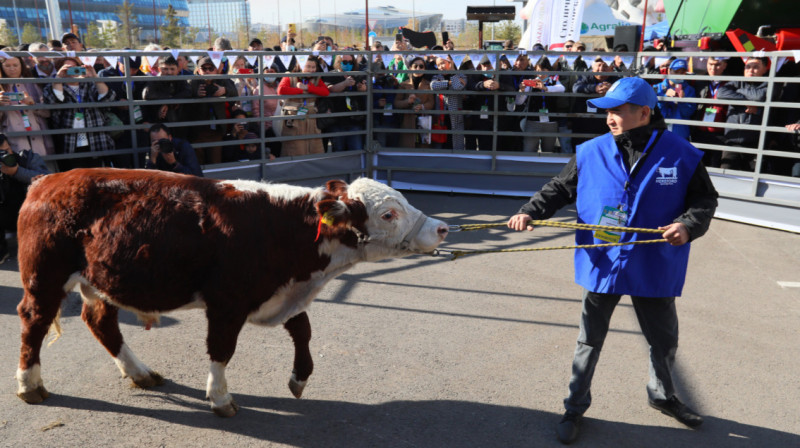 В Астане пройдет выставка новых моделей тракторов и камазов