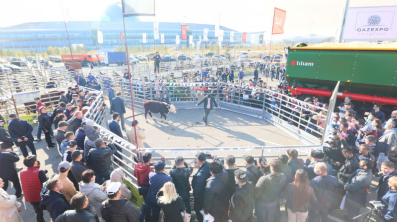 В Астане выберут лучшего дояра Казахстана