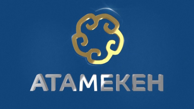НПП "Атамекен" отказывается от государственного бюджета