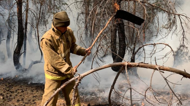 Почему пожарные в Казахстане тушат лес без защиты, ответил Ильин