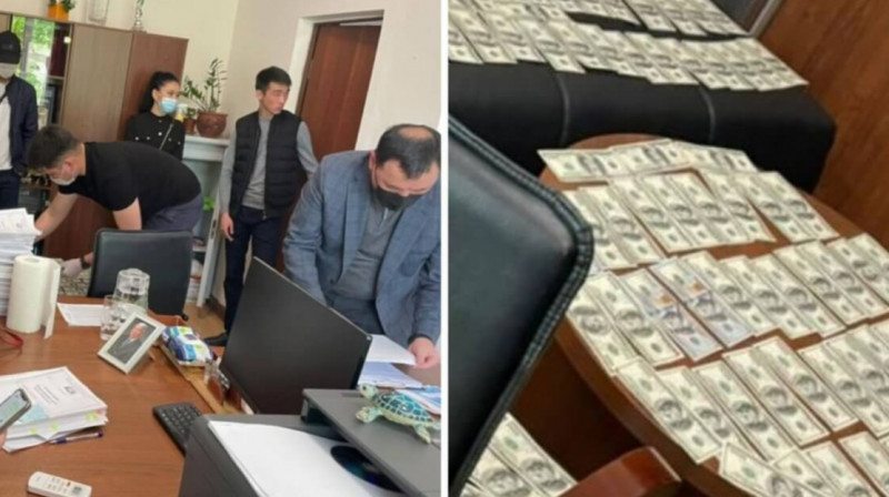 Скандал с судьей в Алматы: на Жолманову подали иск в суд