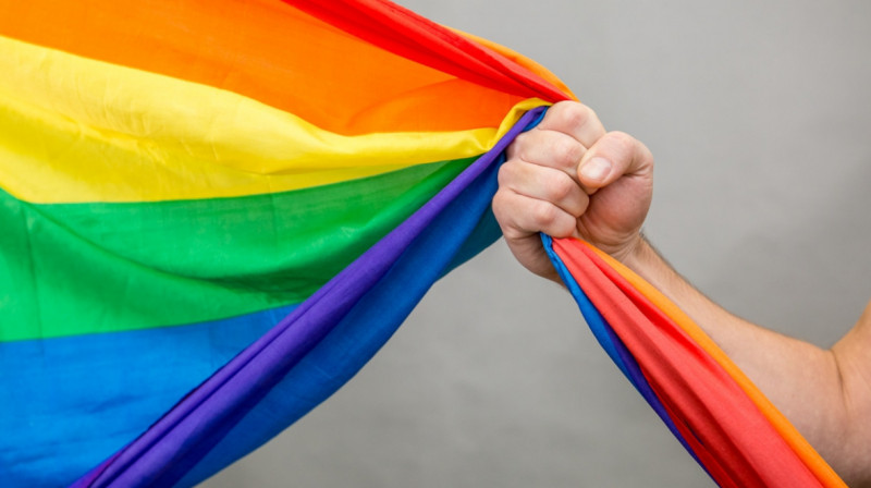В России принят закон о запрете ЛГБТ-пропаганды