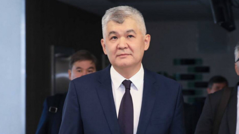 Елжана Биртанова оправдали за незаконное использование самолета санавиации