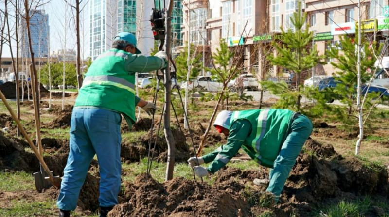 Директора "Астана-Зеленстрой" обвиняют в коррупции