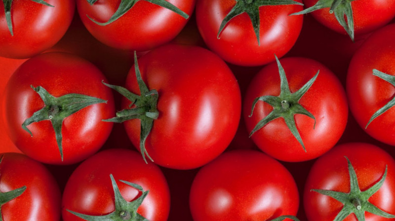 Из Казахстана в Россию пытались перевезти зараженные вирусом томаты