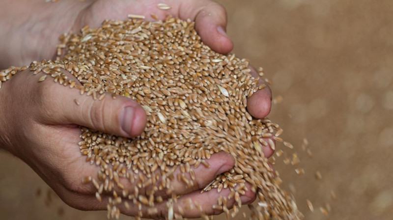 Казахстан не будет снижать тарифы на перевозку российского зерна