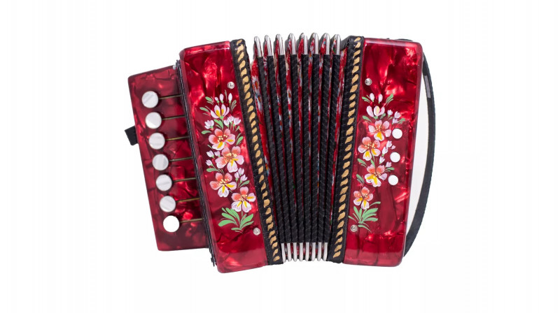 Война, которая идет «по плану»: российские военные собирают гармошки