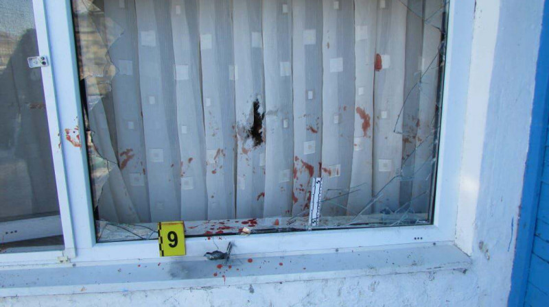 ШҚО мен Ақмола облысында өз отбасыларын қырып тастаған қос әке атылып өлді