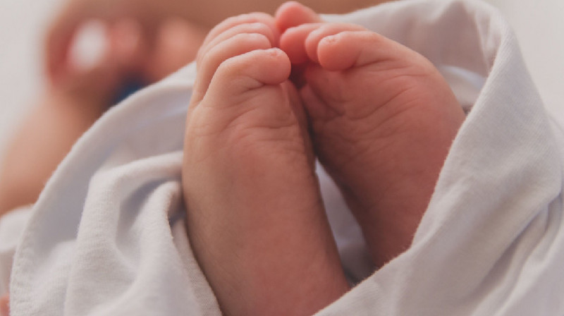 Сколько человек родились в Казахстане в первый день нового года