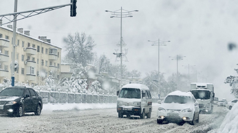 Жителей Узбекистана простят не выезжать в Казахстан из-за холода