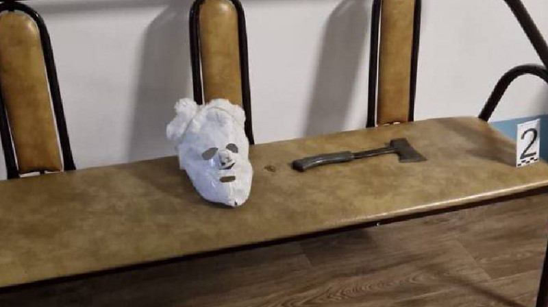 Депрессия и лечение: что известно о 9-класснике, напавшем на школьников в Петропавловске