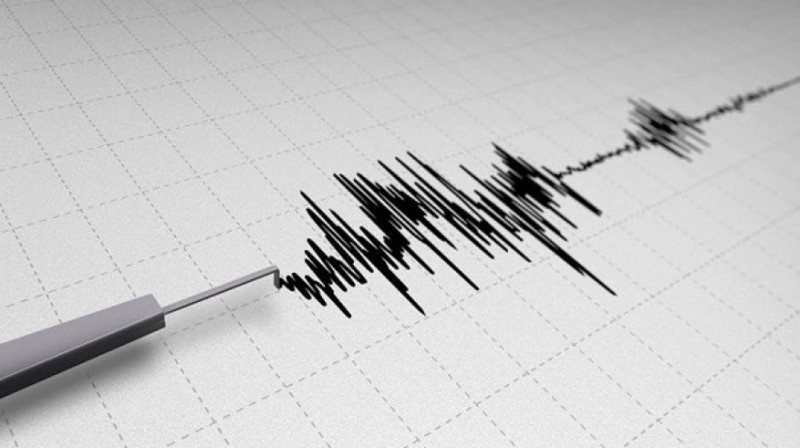 Сейсмологи зафиксировали землетрясение на северо-востоке от Алматы