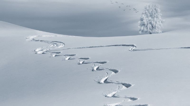 Тело сельчанина обнаружили под снегом в СКО