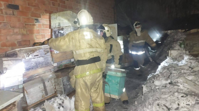 В ВКО спасли более миллиона пчел от пожара