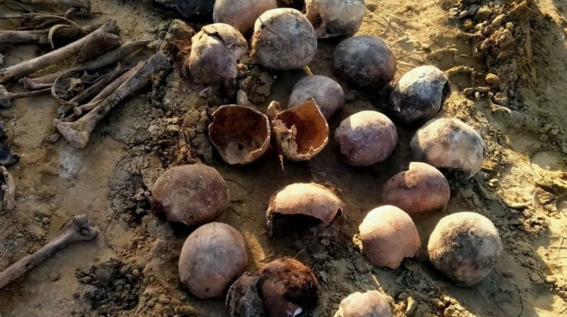 В Махачкале на пляже обнаружены останки 18 человек с пулевыми отверстиями в черепах