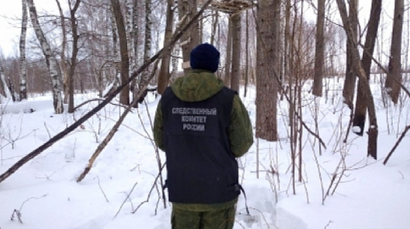 На Петропавловск-Камчатске расчленили сотрудника суда