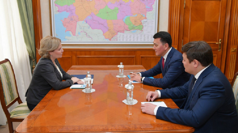 Госсоветник РК Ерлан Карин встретился с министром культуры России