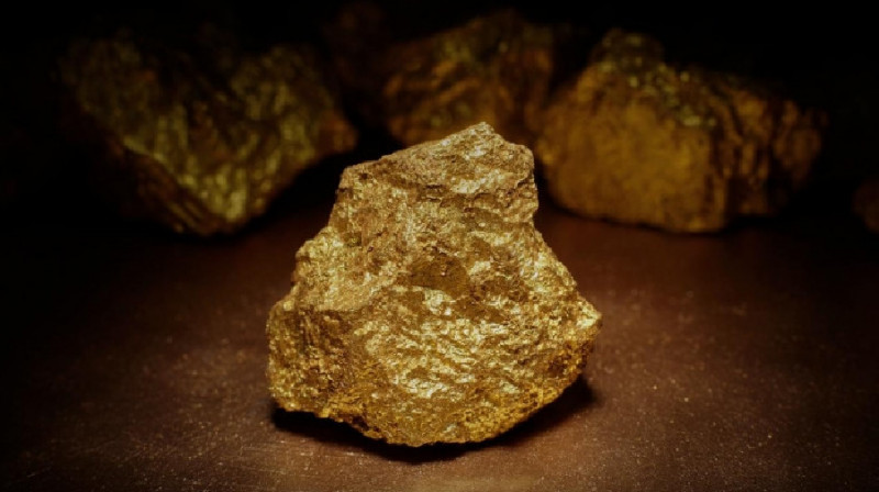 16 кг золотосодержащей руды пытался утащить "черный старатель" в Акмолинской области