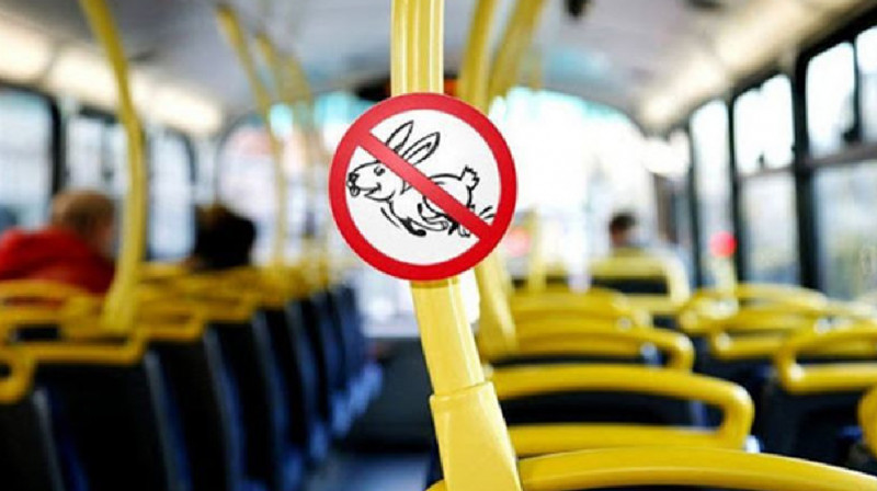 Набирают СМС и ждут контролёров: про уловки безбилетников рассказали в "Алматыэлектротранс"