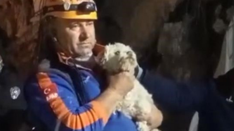 В Турции почти через месяц после землетрясений из-под завалов спасли собаку