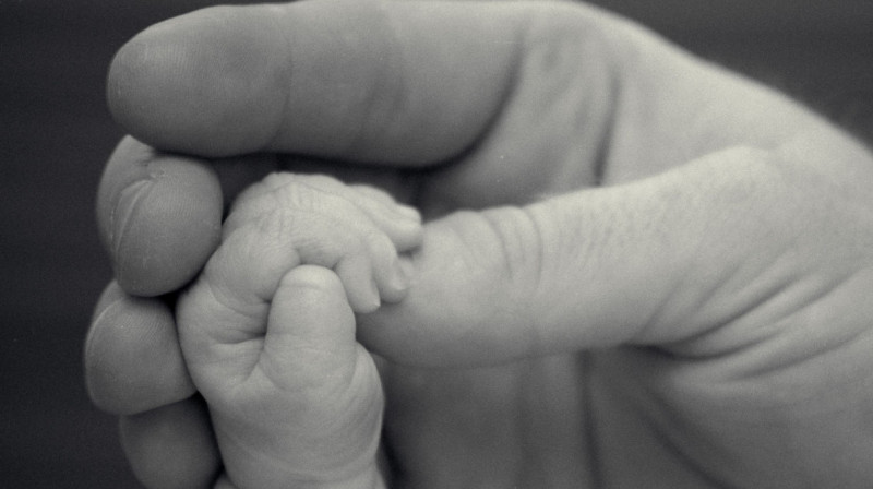 В Павлодаре мертвого младенца нашли в мусорном баке