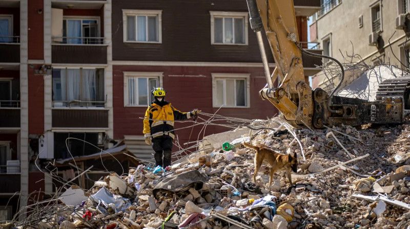 В более $100 млрд оценен ущерб от землетрясений в Турции - ООН