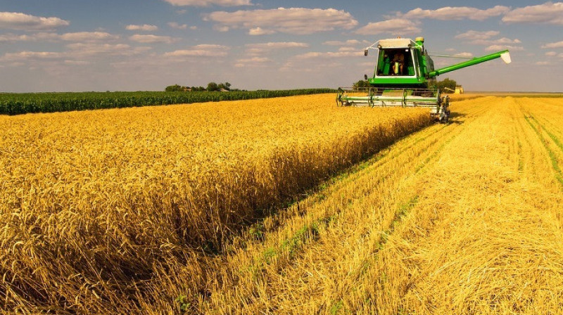 Казахстан стал продавать больше пшеницы